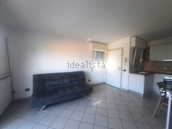 appartamento in affitto a Segrate in zona Rovagnasco