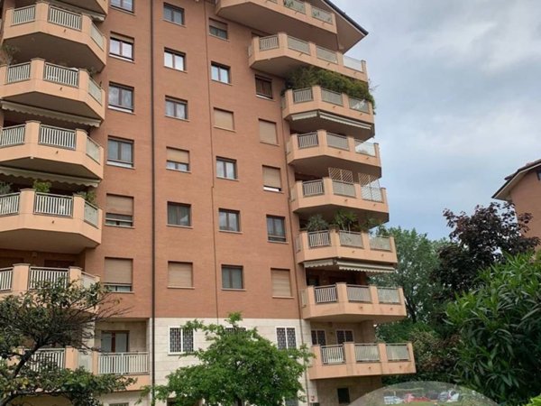 appartamento in affitto a Segrate