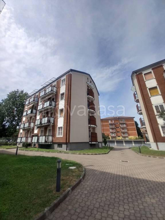 appartamento in affitto a Segrate in zona Redecesio