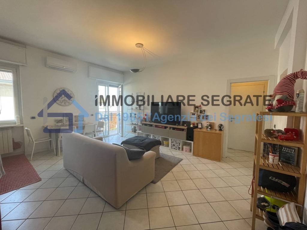 appartamento in affitto a Segrate