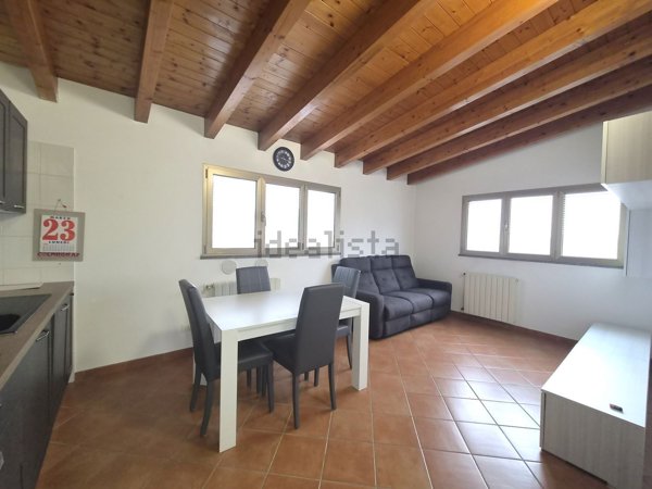 appartamento in affitto a Segrate