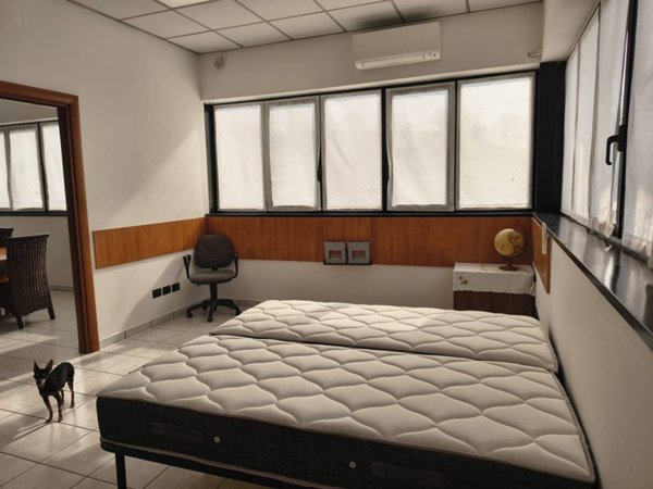 appartamento in affitto a Senago