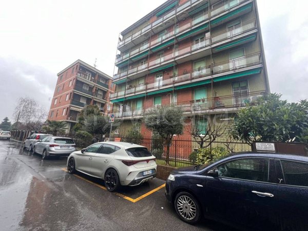appartamento in affitto a Senago