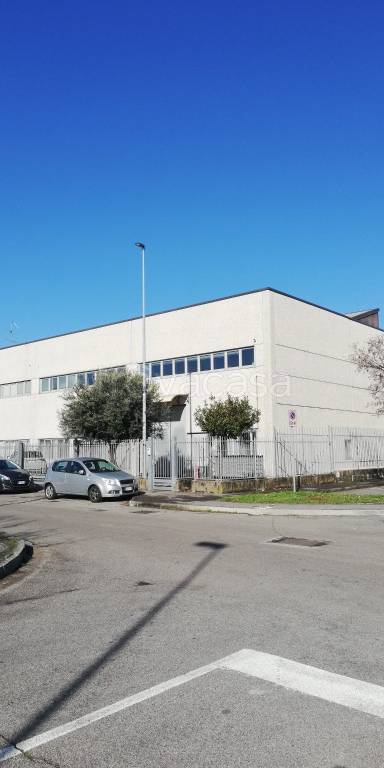 appartamento in affitto a Senago