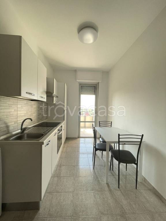 appartamento in affitto a Sesto San Giovanni