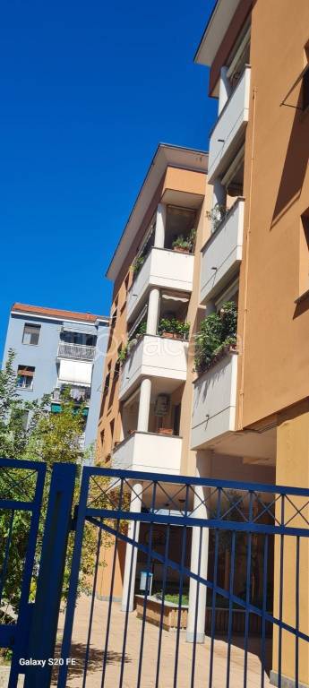 appartamento in affitto a Sesto San Giovanni