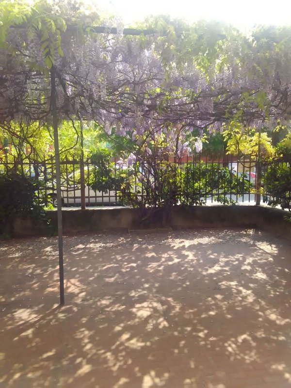 appartamento in affitto a Sesto San Giovanni