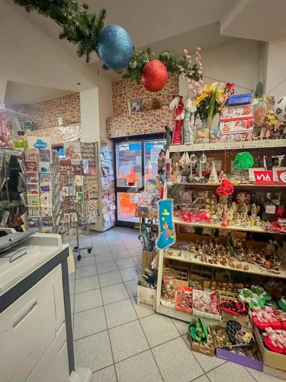 monolocale in affitto a Settala