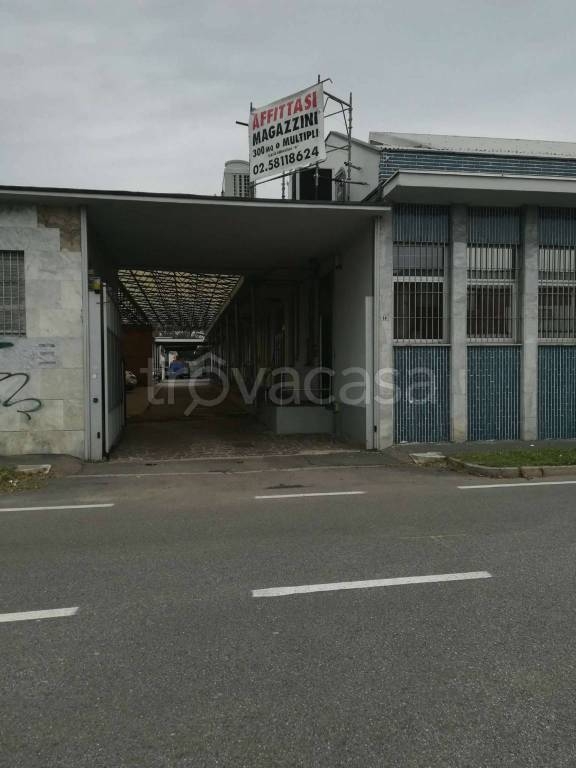 appartamento in affitto a Settimo Milanese
