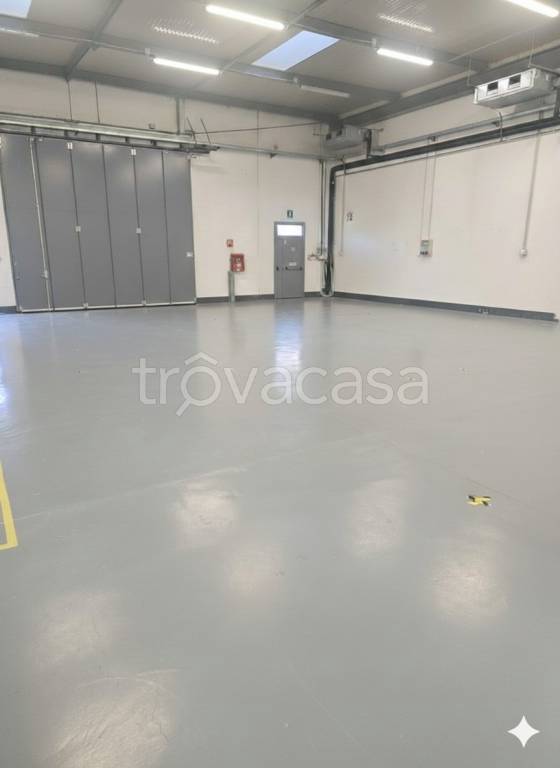 appartamento in affitto a Settimo Milanese