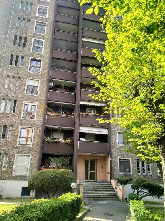 appartamento in affitto a Trezzano sul Naviglio