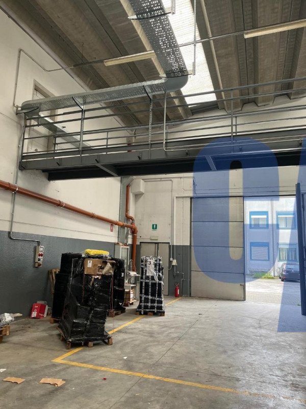 immagine annuncio 0 di 5