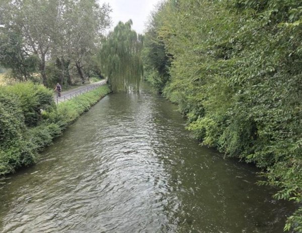 appartamento in affitto a Vimodrone