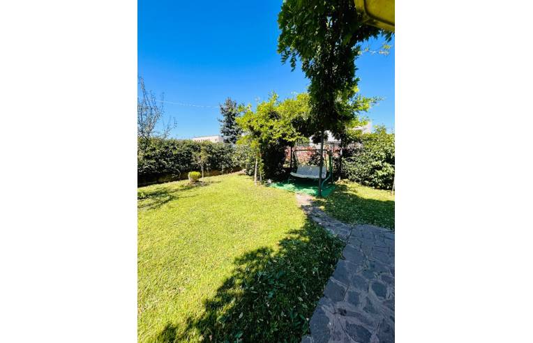 casa indipendente in affitto a Vittuone