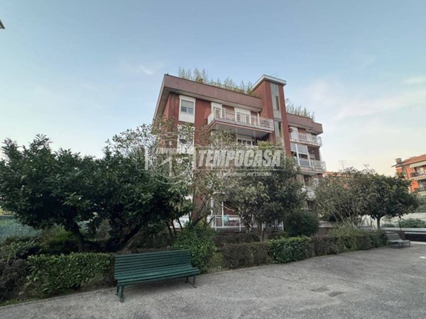 immagine annuncio 0 di 15