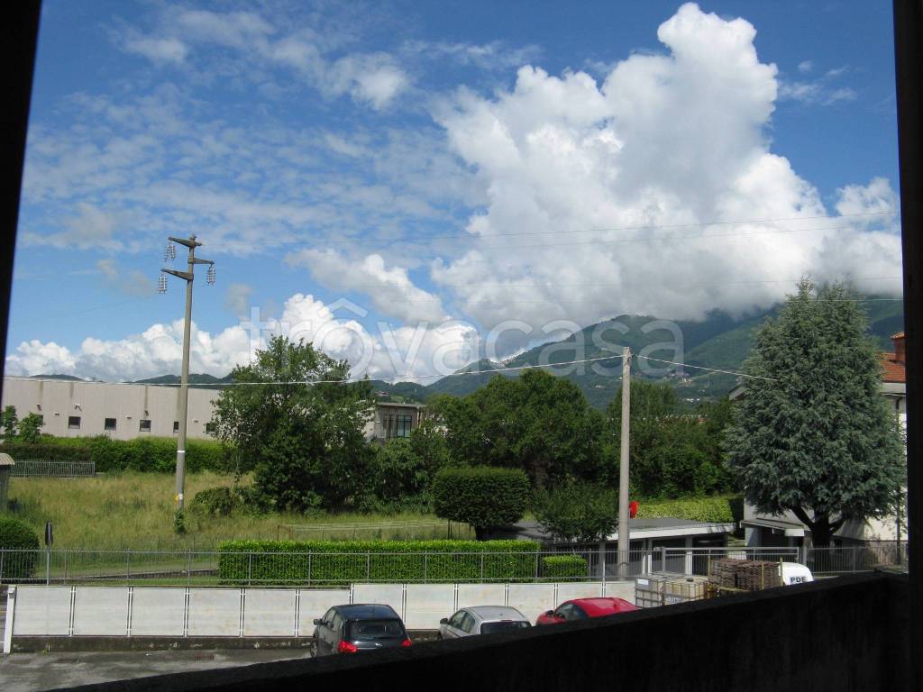 immagine annuncio 0 di 15