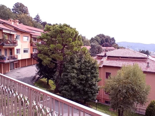 appartamento in affitto ad Alzano Lombardo