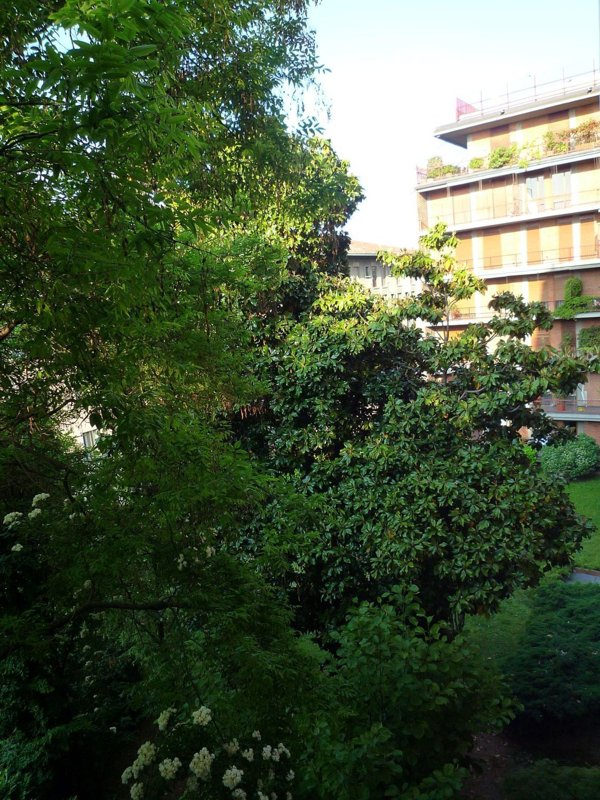appartamento in affitto a Bergamo in zona Città Alta