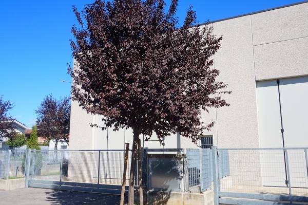 locale commerciale in affitto a Bonate Sopra