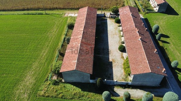 appartamento in affitto a Calcinate