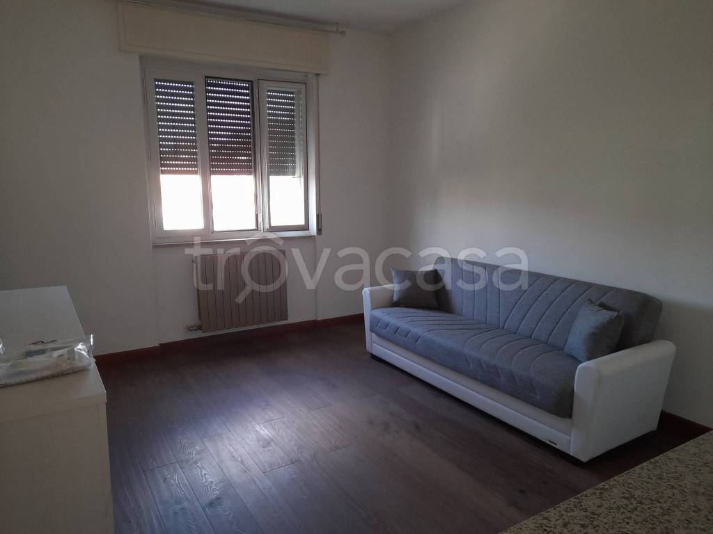 appartamento in affitto a Caravaggio