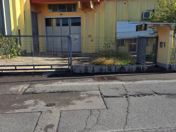 locale commerciale in affitto a Caravaggio