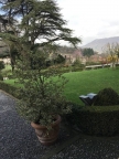 appartamento in affitto a Cenate Sotto