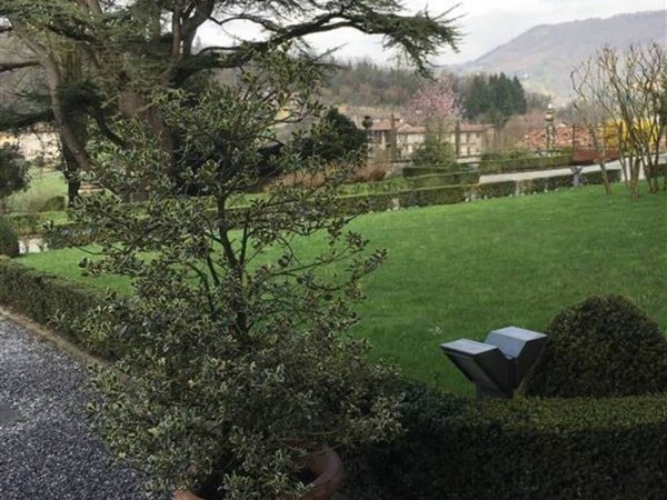 appartamento in affitto a Cenate Sotto