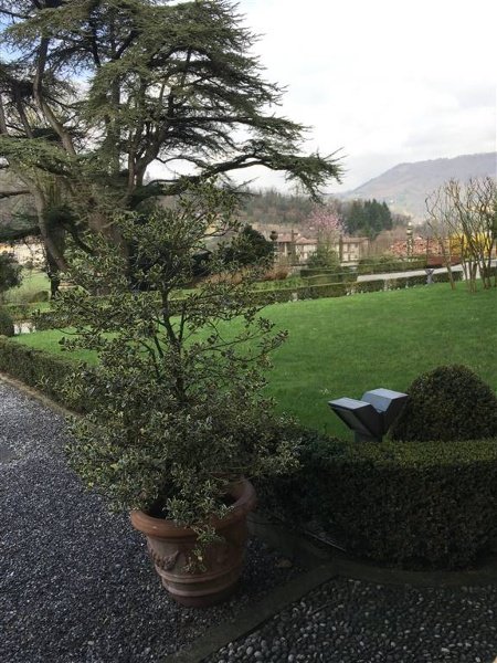 appartamento in affitto a Cenate Sotto