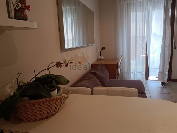 appartamento in affitto a Cene