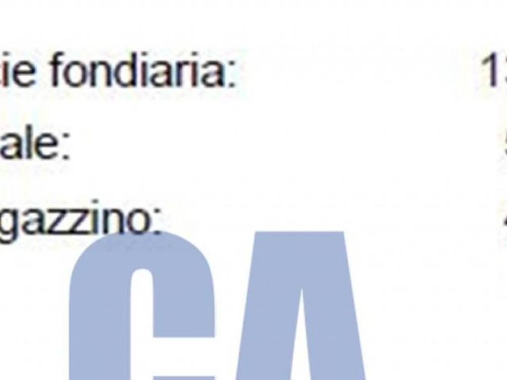 locale commerciale in affitto a Filago