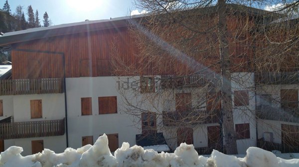 appartamento in affitto a Foppolo