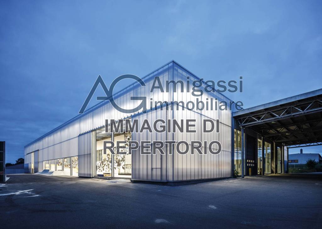 appartamento in affitto a Lallio