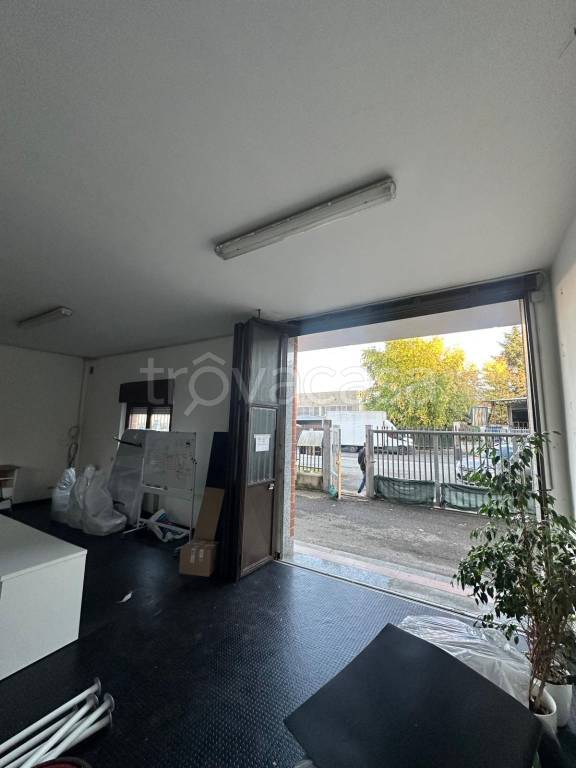 immagine annuncio 0 di 15