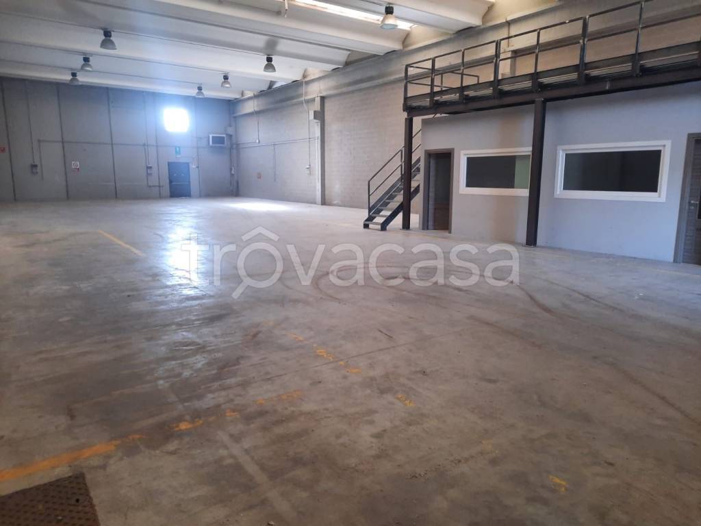 appartamento in affitto a Mozzo