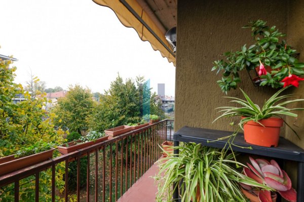 appartamento in affitto a Mozzo