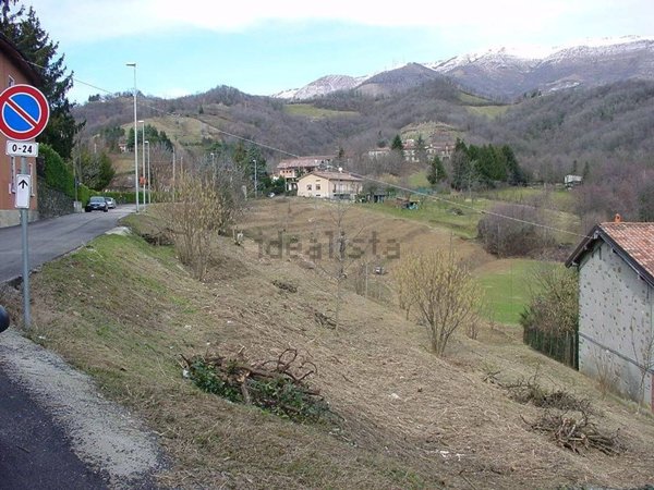 terreno agricolo in affitto a Palazzago