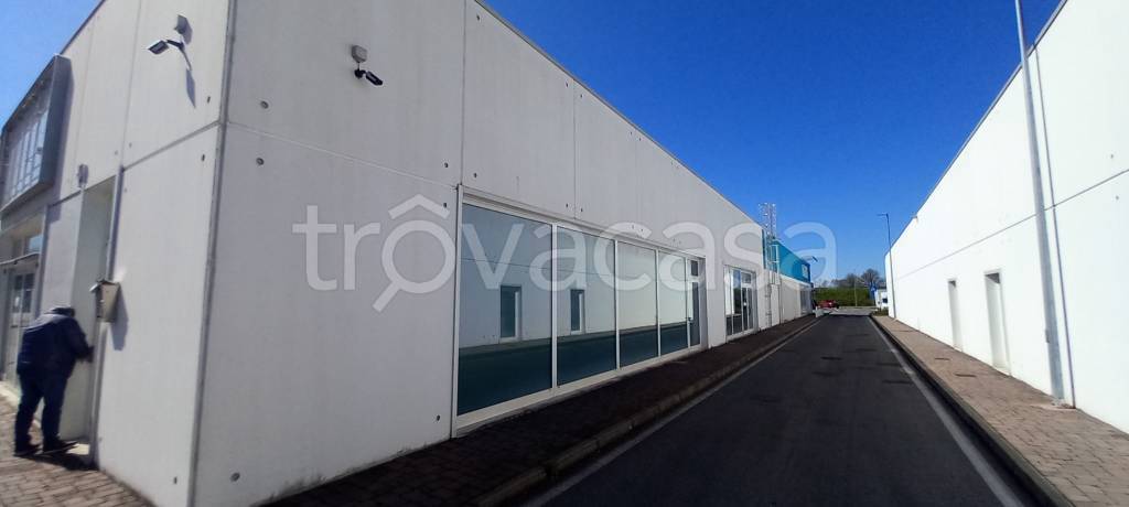 locale commerciale in affitto a Pedrengo