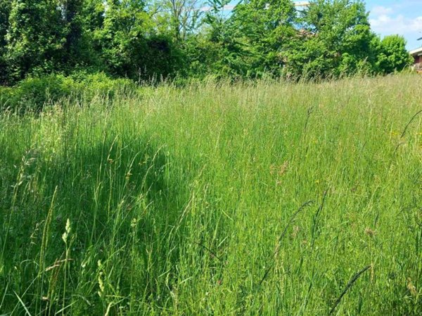 terreno agricolo in affitto a Ponteranica
