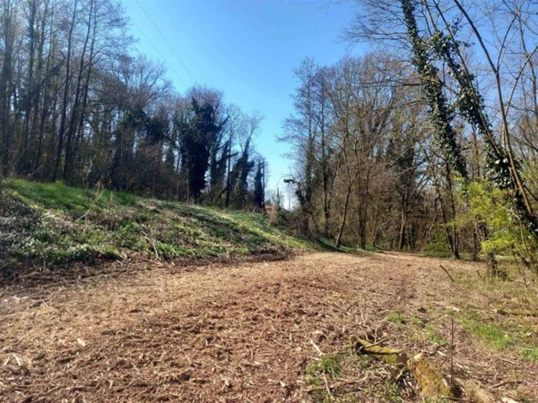 terreno agricolo in affitto a Ponteranica