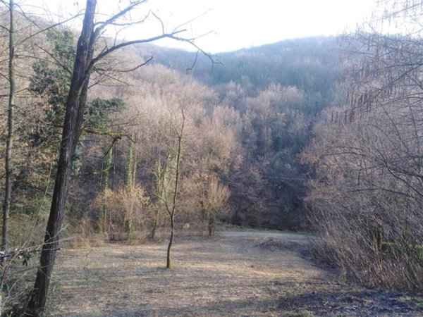 terreno agricolo in affitto a Ponteranica