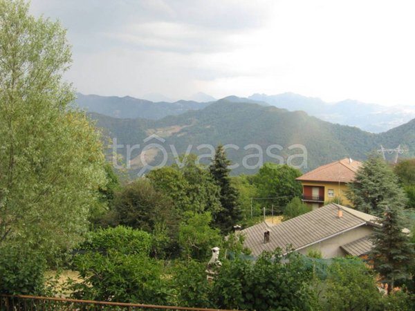 appartamento in affitto a Roncola