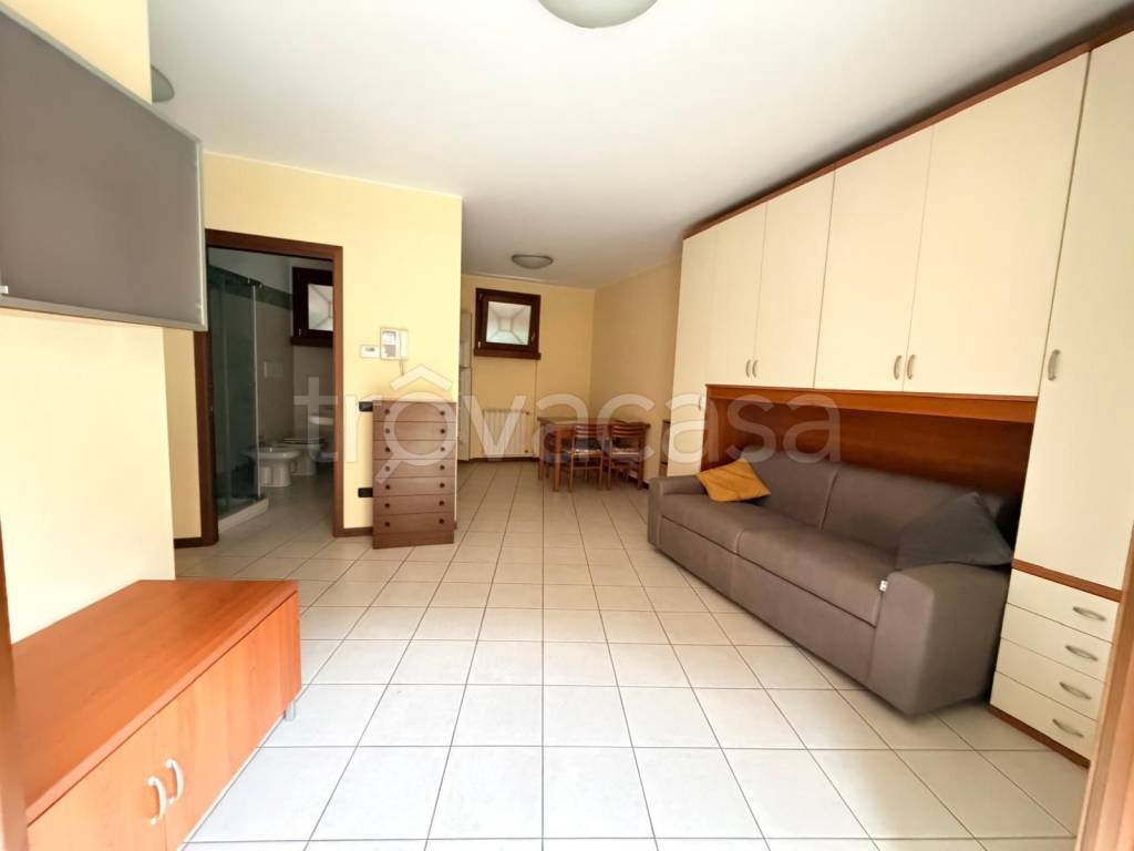 appartamento in affitto a Seriate in zona Comonte