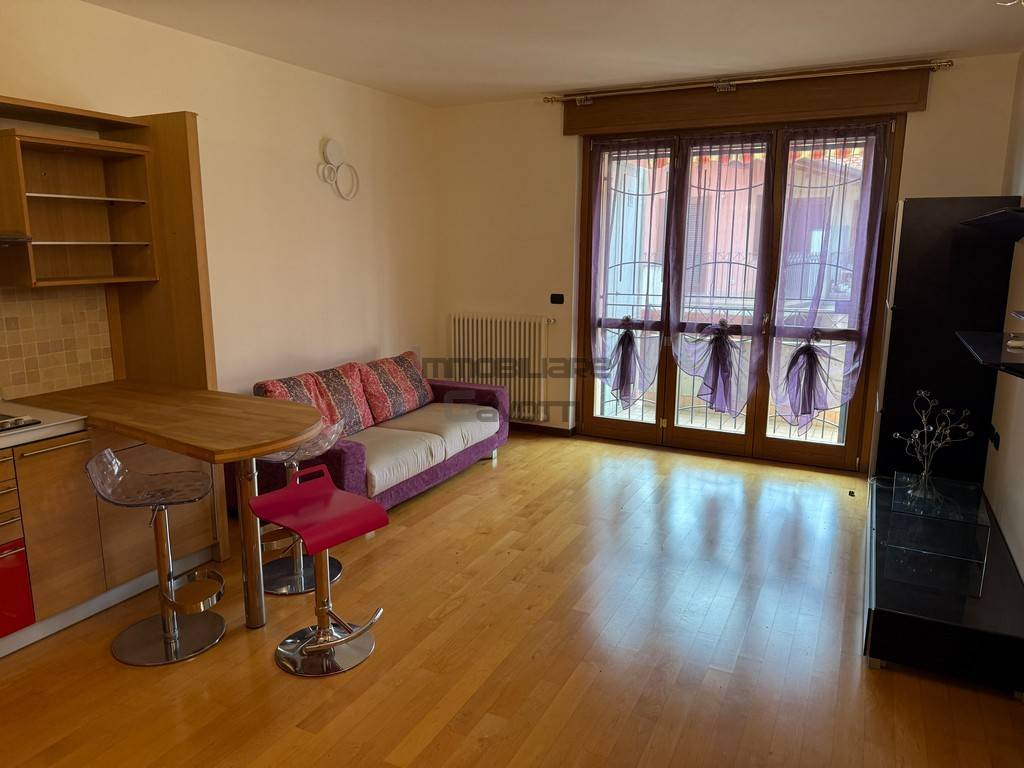 appartamento in affitto a Seriate