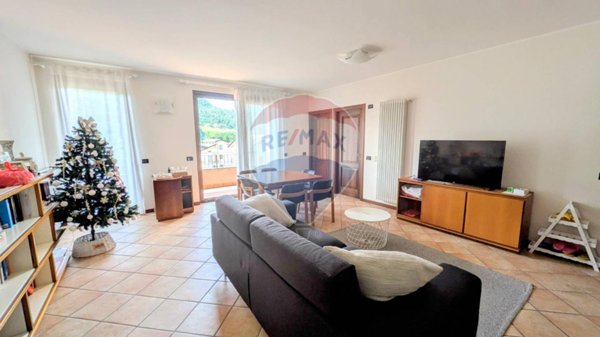 immagine annuncio 0 di 15