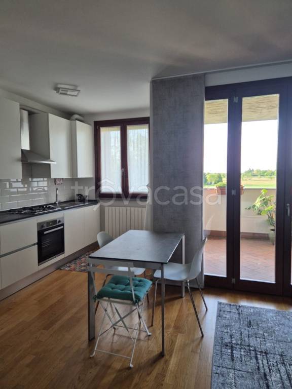 appartamento in affitto a Treviglio
