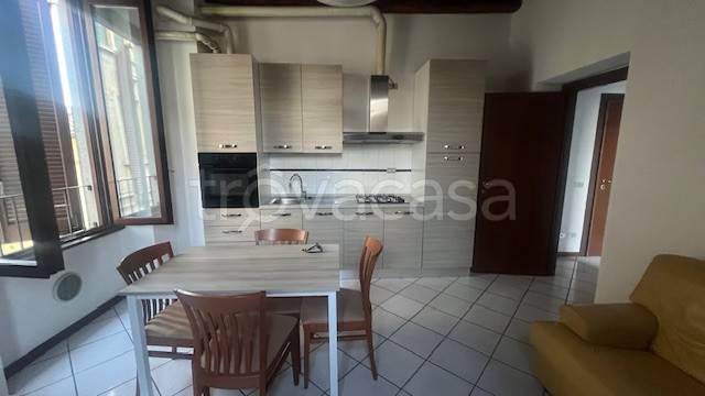 appartamento in affitto a Treviglio