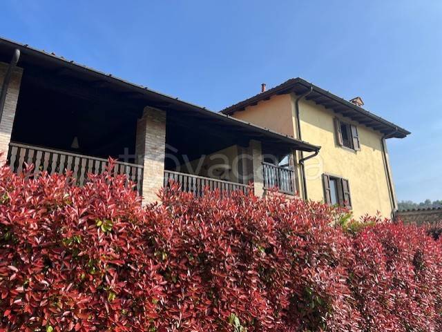 appartamento in affitto a Valbrembo