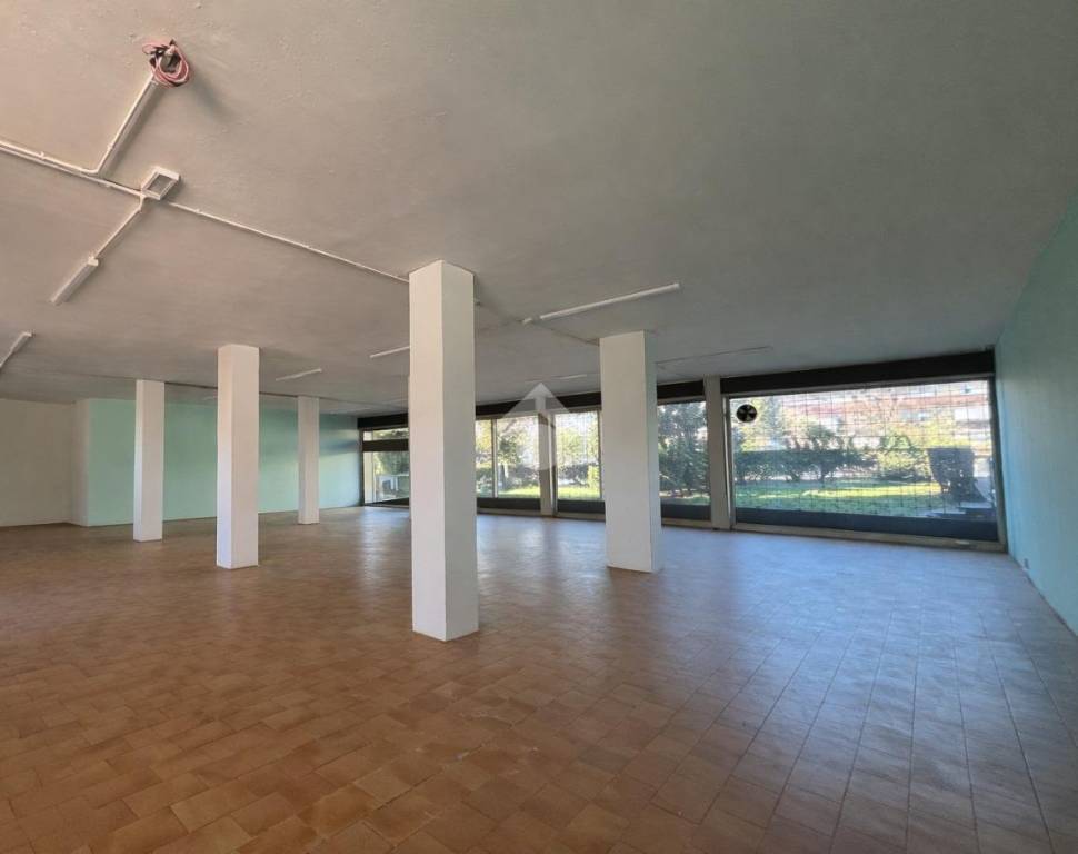 immagine annuncio 0 di 15