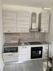 appartamento in affitto a Zanica